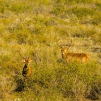 Rancho Rasante Real images 2