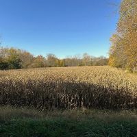 Robert J Curry Jr. Trust Farms