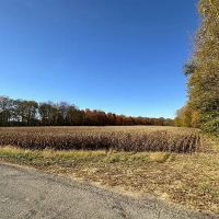 Robert J Curry Jr. Trust Farms images 2