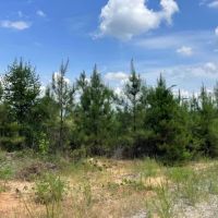 Fowlers Crossroads Tract