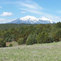 122 Silver Spurs Ranch