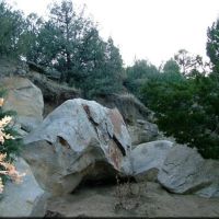 122 Silver Spurs Ranch images 5