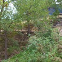 Riverfront Hunting Cattle Ranch in Evant TX images 3