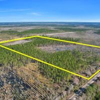 37.85 acres - Hwy 84 images 5