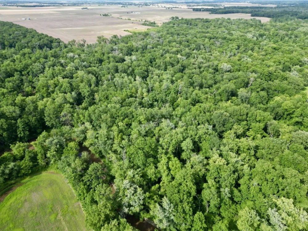 26 acres in Crooked Creek bottoms featured image