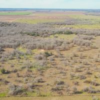 13.5 Acres in Milam County