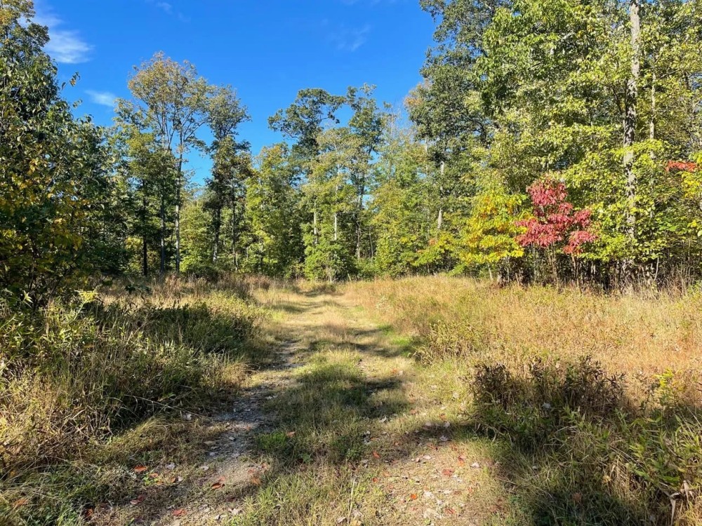 OTTO RD. CAMBRIA COUNTY - 90 - ACRES featured image