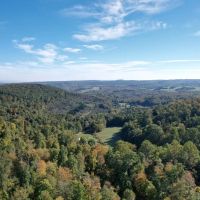 OTTO RD. CAMBRIA COUNTY - 90 - ACRES images 2