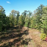 OTTO RD. CAMBRIA COUNTY - 90 - ACRES images 3
