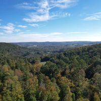 OTTO RD. CAMBRIA COUNTY - 90 - ACRES images 4