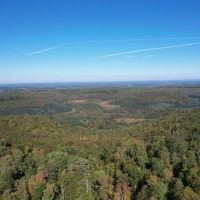 OTTO RD. CAMBRIA COUNTY - 90 - ACRES images 5