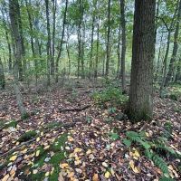 Ridge Rd - Homer City - Indiana - 1.0 -