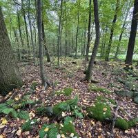 Ridge Rd - Homer City - Indiana - 1.0 - images 2