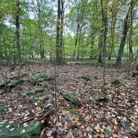 Ridge Rd - Homer City - Indiana - 1.0 - images 3