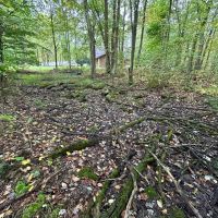 Ridge Rd - Homer City - Indiana - 1.0 - images 4