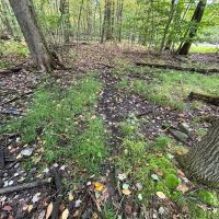 Ridge Rd - Homer City - Indiana - 1.0 - images 5