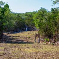 El Corral Ranch images 5