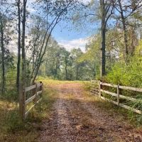221 Acres of Premium Hunting Pike Co.