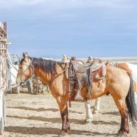 Ten Mile Ranch images 4