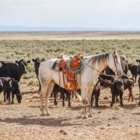 Ten Mile Ranch images 5