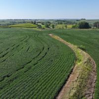 TIMED ONLINE AUCTION 162.77 acres m.l Mills County Iowa images 2