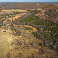 Barry County Cattle Farm-Tract 1 images 4