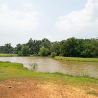 110 Acres in Burleson County images 4