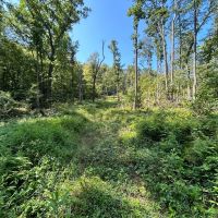 Matson Red Arrow Road - Ligonier - Westmoreland - 501.7 -