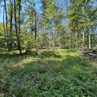 Matson Red Arrow Road - Ligonier - Westmoreland - 501.7 - images 2