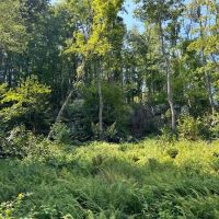 Matson Red Arrow Road - Ligonier - Westmoreland - 501.7 - images 3