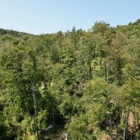 Matson Red Arrow Road - Ligonier - Westmoreland - 501.7 - images 5