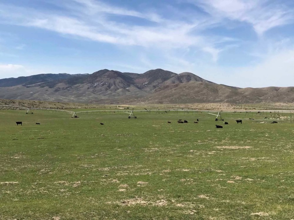 Hat Springs Ranch featured image