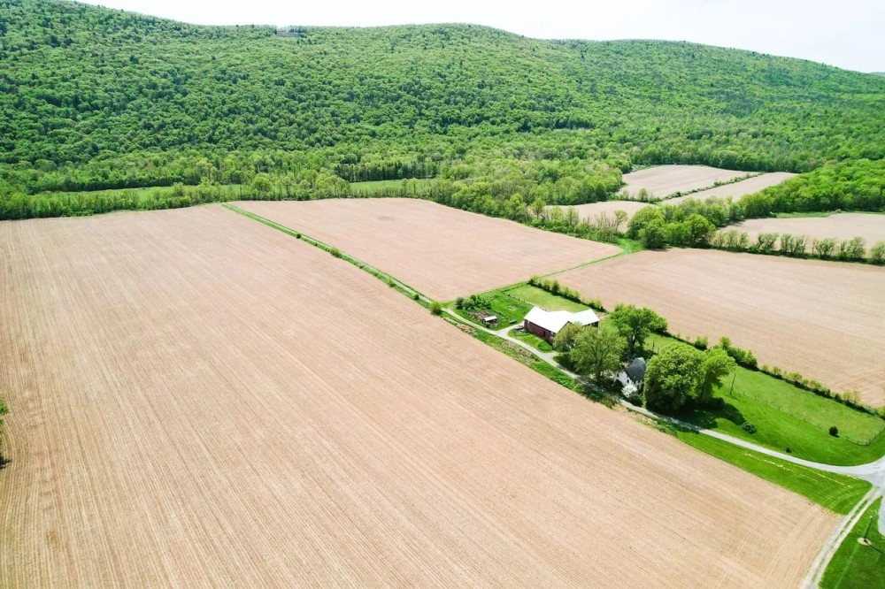 LYCOMING COUNTY - NIPPENOSE RD JERSEY SHORE - 218 - ACRES featured image