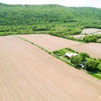 LYCOMING COUNTY - NIPPENOSE RD JERSEY SHORE - 218 - ACRES