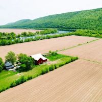 LYCOMING COUNTY - NIPPENOSE RD JERSEY SHORE - 218 - ACRES images 4