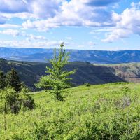 Applegate Canyon Ranch