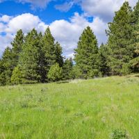 Applegate Canyon Ranch images 2