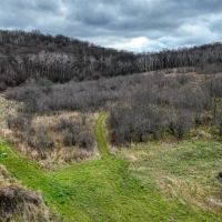 32 Acres with Endless Possibilities in Monroe County WI images 3
