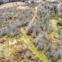 32 Acres with Endless Possibilities in Monroe County WI images 4