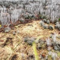 32 Acres with Endless Possibilities in Monroe County WI images 5