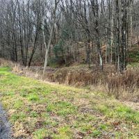 65 acres Hunting Land and Recreational Land with Stream in Deposit NY 645 Big Hollow Rd images 5