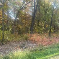 20 acres m l - Birmingham IA - Van Buren County images 2