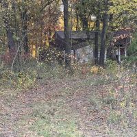 20 acres m l - Birmingham IA - Van Buren County images 3