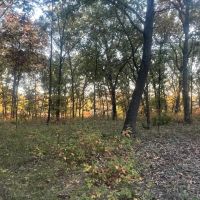 20 acres m l - Birmingham IA - Van Buren County images 5