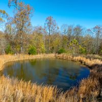 20 - Acres 3 Bed 2 Bath House Evening Shade Arkansas images 4