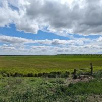 Ellsworth County Land Auction 179 Acres - images 5