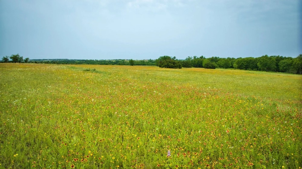 New Property featured image