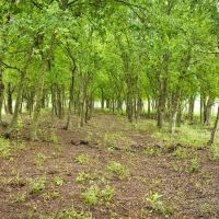 New Property images 4