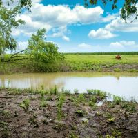 New Property images 5