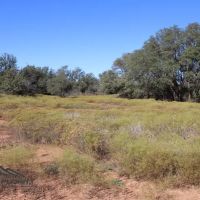 Lake Ranch images 5
